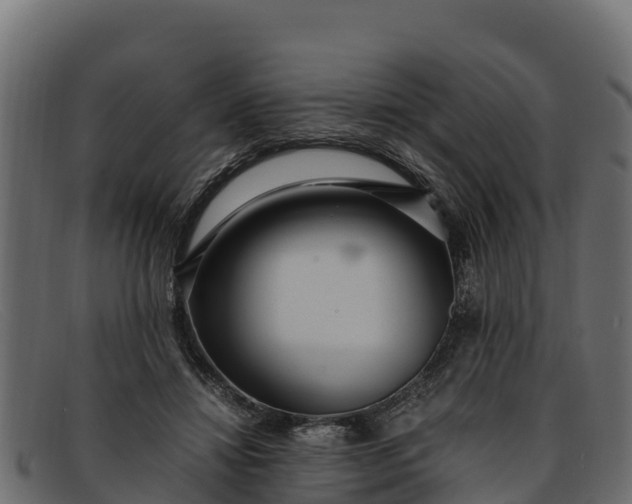 X0000091940452200709191423