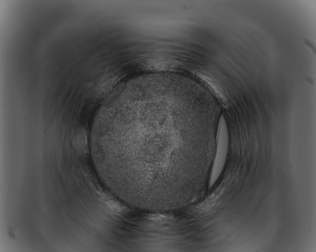 X0000091940453200709191423