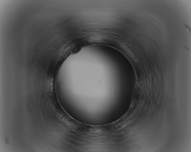 X0000091940454200709191423