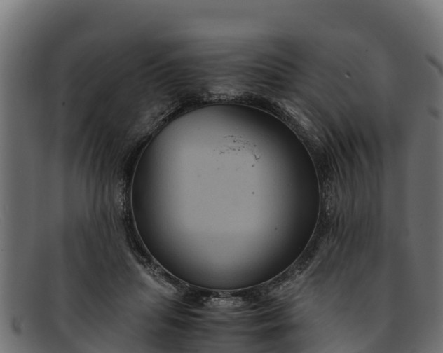 X0000091940455200709191423