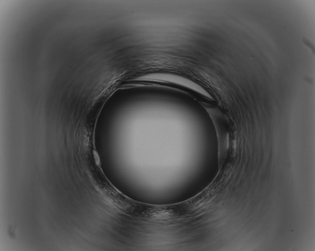 X0000091940456200709191423