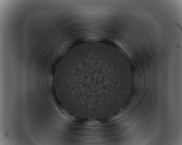 X0000091940459200709191423