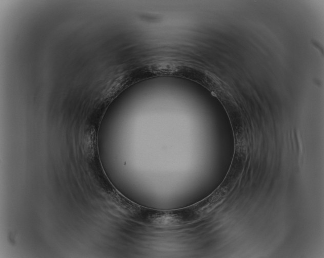 X0000091940460200709191423