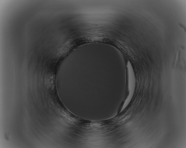 X0000091940462200709191423