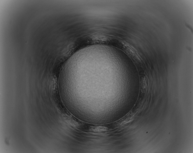 X0000091940463200709191423