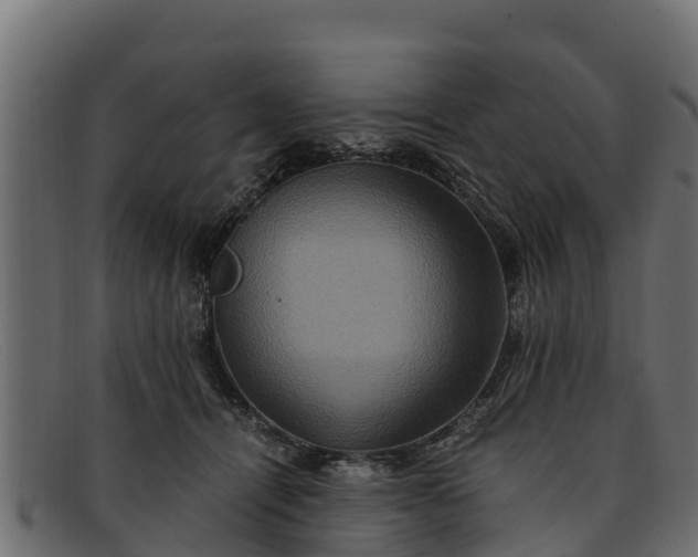 X0000091940464200709191423