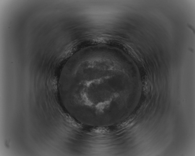 X0000091940466200709191423