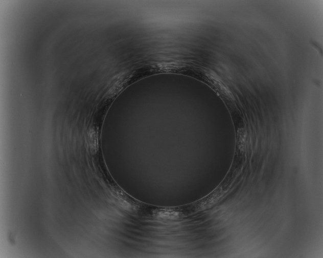 X0000091940471200709191423