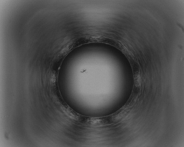 X0000091940472200709191423