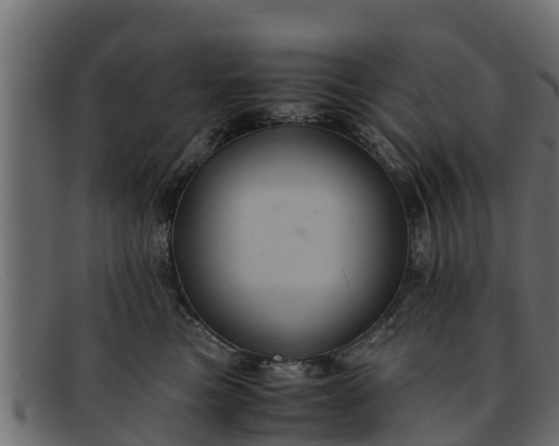 X0000091940473200709191423