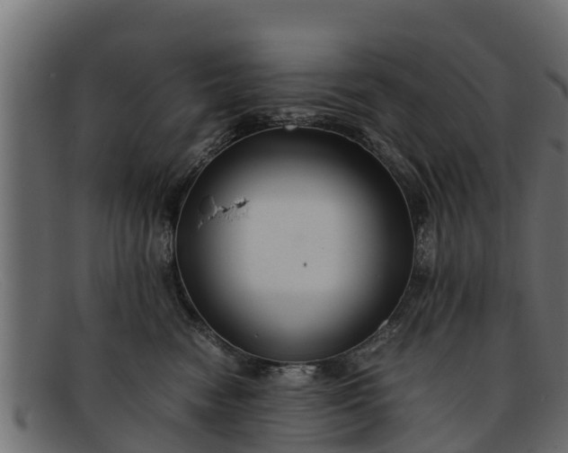 X0000091940474200709191423