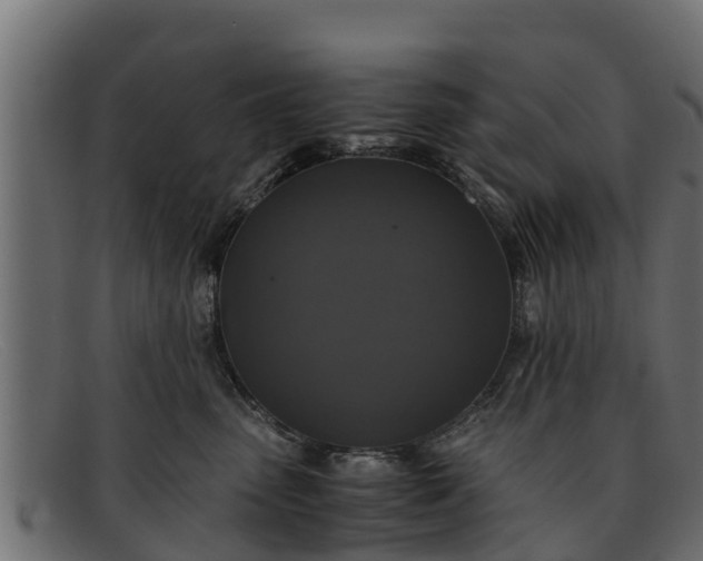 X0000091940475200709191423