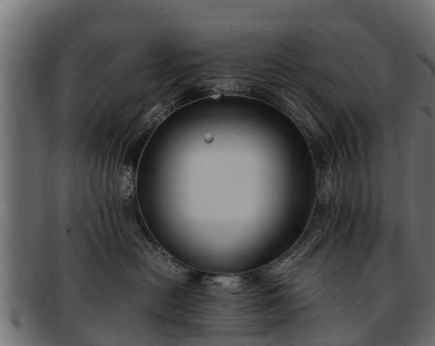 X0000091940478200709191423