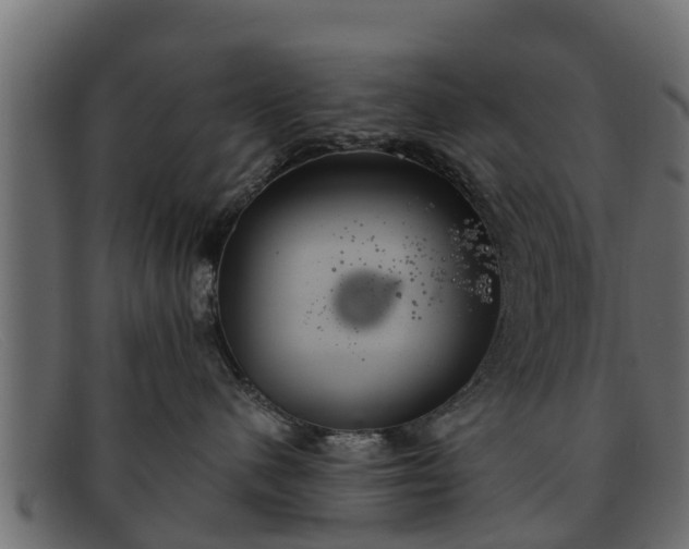 X0000091940480200709191423