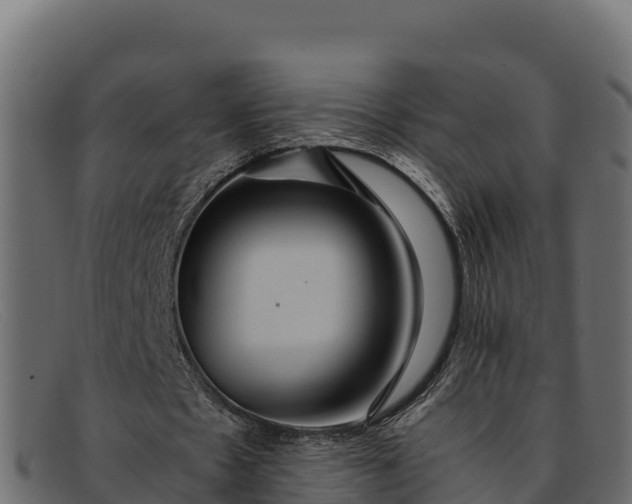 X0000091940481200709191423