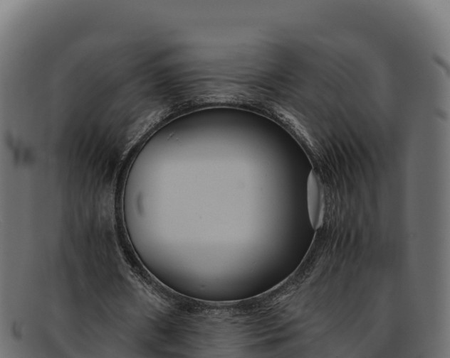 X0000091940482200709191423