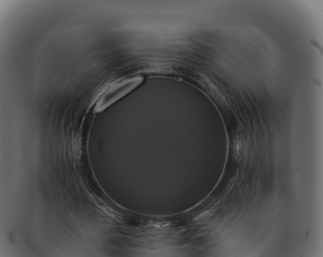 X0000091940484200709191423