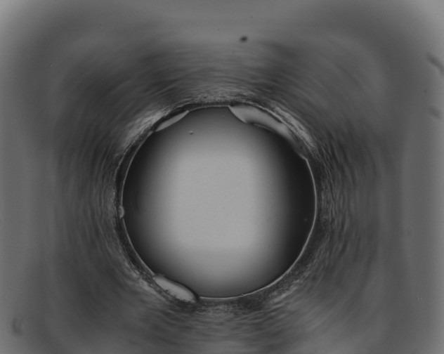 X0000091940485200709191423