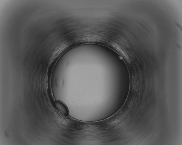 X0000091940486200709191423