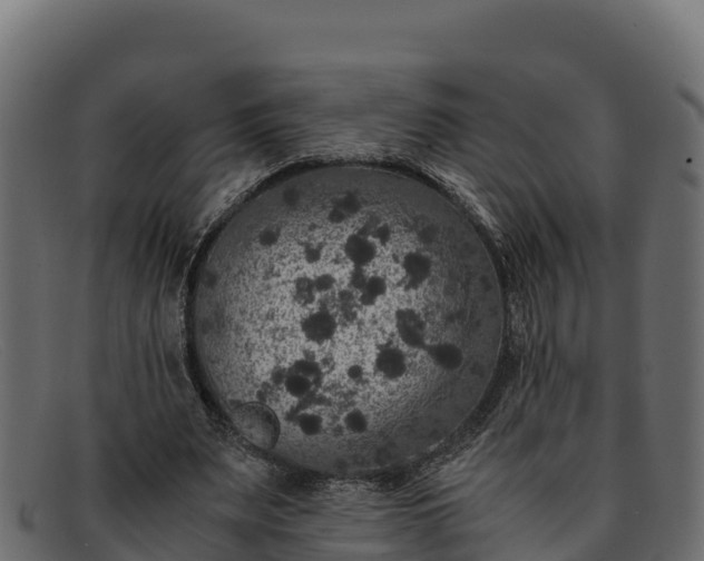 X0000091940487200709191423