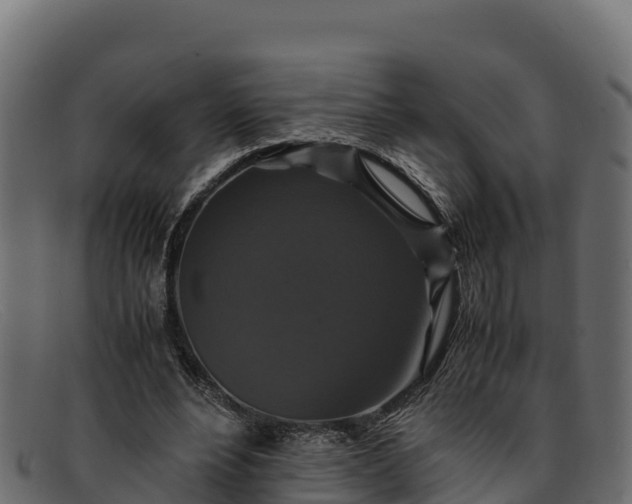 X0000091940488200709191423