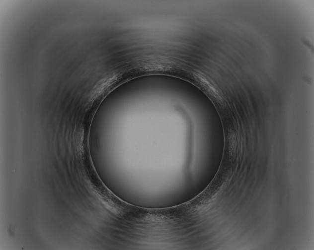 X0000091940490200709191423