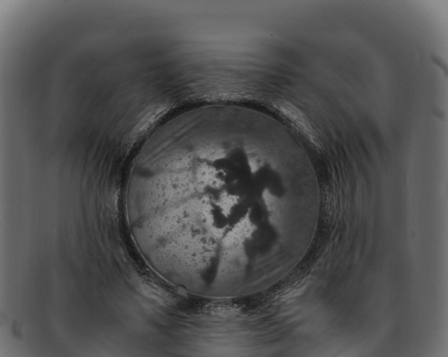 X0000091940491200709191423