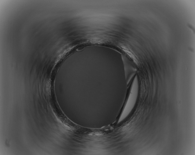 X0000091940492200709191423