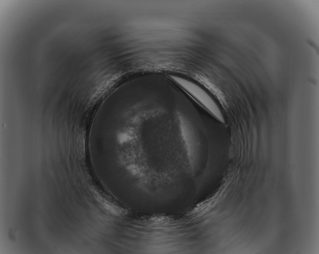 X0000091940493200709191423