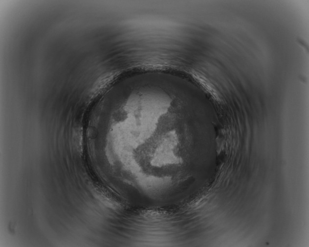 X0000091940494200709191423