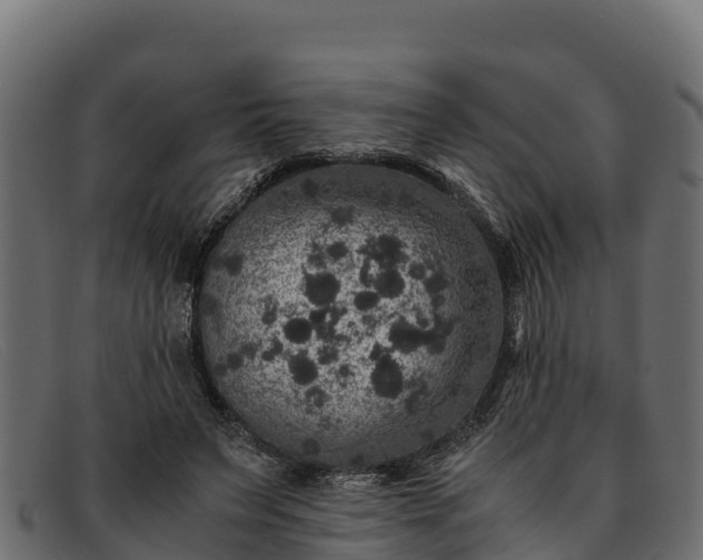 X0000091940495200709191423