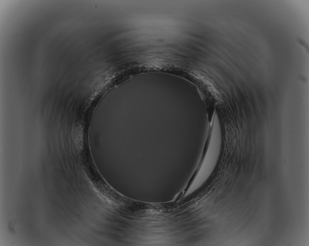 X0000091940496200709191423