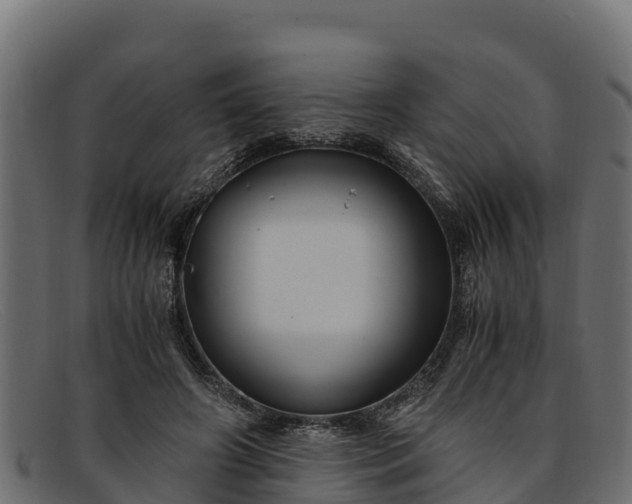 X0000091940498200709191423