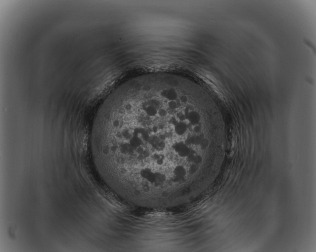 X0000091940499200709191423