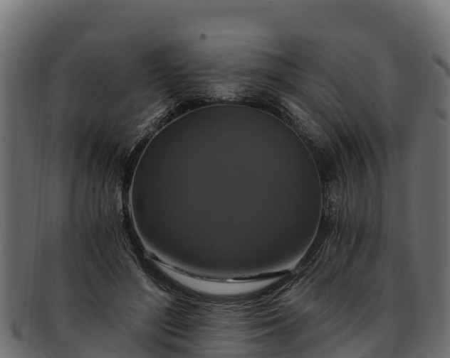 X0000091940500200709191423