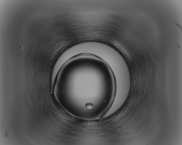 X0000091940501200709191423