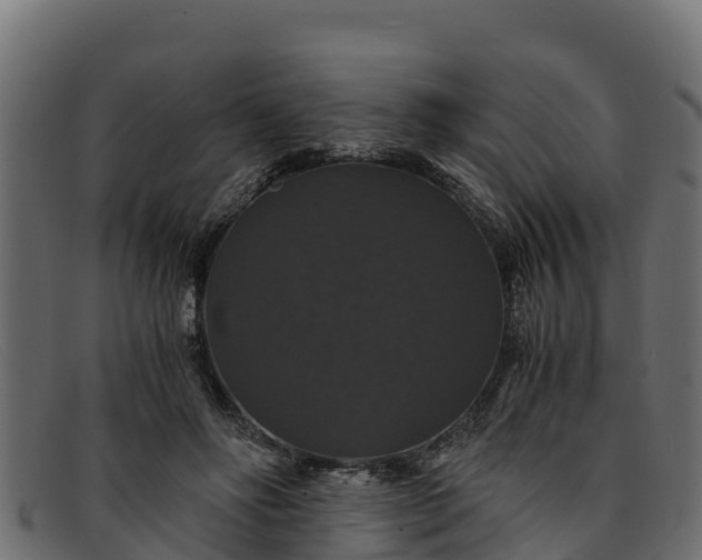 X0000091940502200709191423