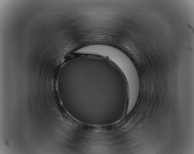 X0000091940504200709191423