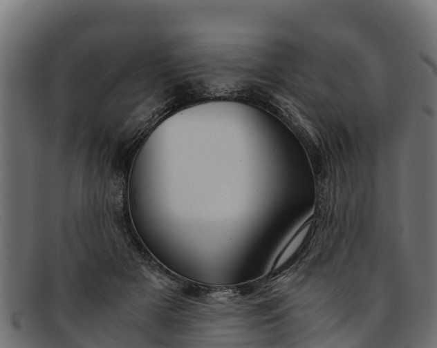 X0000091940505200709191423