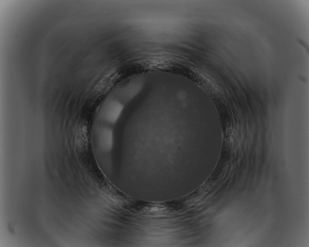 X0000091940506200709191423