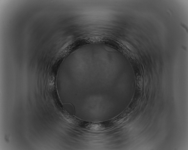 X0000091940507200709191423