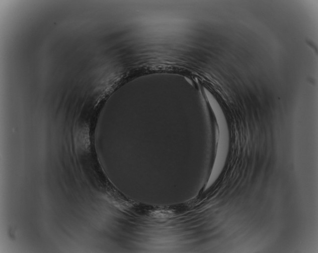 X0000091940508200709191423