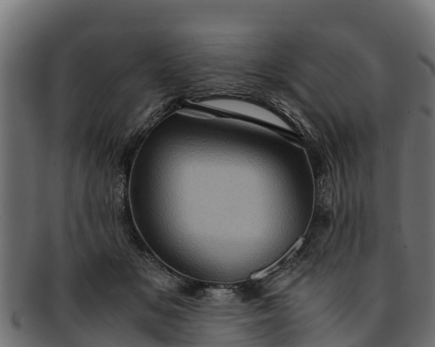 X0000091940509200709191422