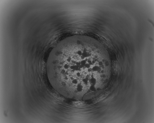 X0000091940511200709191422