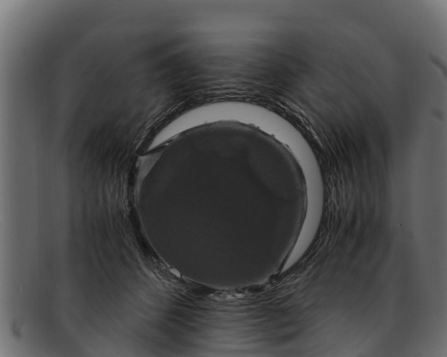 X0000091940512200709191422