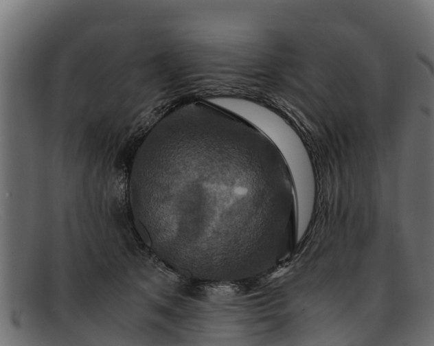 X0000091940513200709191422