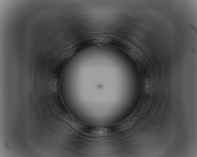 X0000091940514200709191422