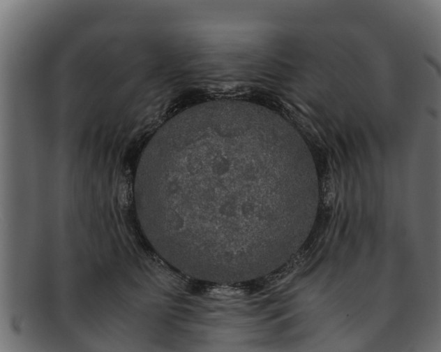 X0000091940515200709191422