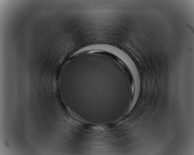 X0000091940516200709191422