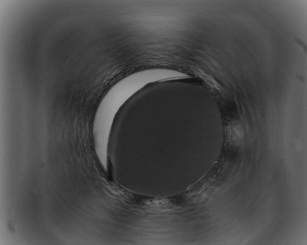 X0000091940517200709191422